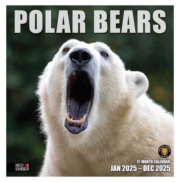 RED EMBER Polar Bears 2025 Wall Calendar 12 Month | 12" x 24" Open | Thick & Sturdy Paper | Giftable | Calendar 2025