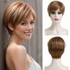 Dsimeig Short Wigs for White Women Blonde Highlights Synthetic Hair Wig Layered Halloween Cosplay Wig,Brown