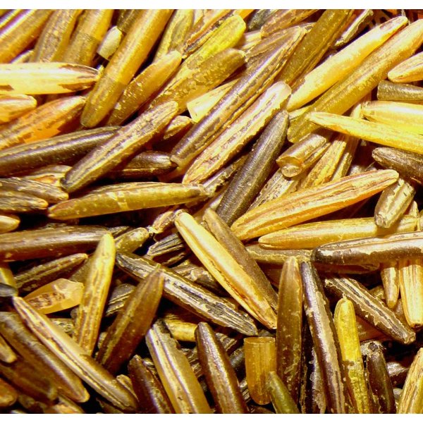 1 LB MN WILD RICE AMERICAN INDIAN HAND HARVESTED & WOOD PARCHED ALL NATURAL!