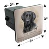 Black Lab Labrador Dog Breed Tow Trailer Hitch Cover Plug Insert 2"
