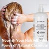 Coconut Daily Hydration Shampoo, 17 fl. oz. & OlaZarah Coconut Oil Conditioner, 17 fl. oz (combination)