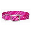 Dublin Dog Koa Collection Oxford 12.5 by 17-Inch Dog Collar, Medium, Apple Orchard