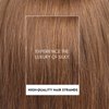 testar 13×4 Short Brown Bob Wig Human Hair Realistic HD Lace Front Wig Human Hair Ready to Go Bob Wig Glueless 12 Inch Straight Bob Human Hair Wigs for Women