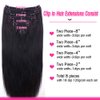 Straight Human Hair Clip in Hair Extensions for Black Women 100% Unprocessed Full Head Brazilian Virgin Hair Natural Black Color,8/Pcs with 18Clips,120 Gram (18inch, Straight hair)