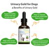 Pet Wellbeing Urinary Gold for Dogs - Vet-Formulated - Canine Urinary Tract Health, Supports Normal Urinary pH - Natural Herbal Supplement 2 oz (59 ml)