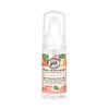 Michel Design Works Travel Foaming Hand Soap, Pink Grapefruit