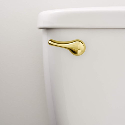 Qualihome Toilet Handle Replacement (Brass Polished, Front Mount)