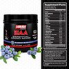Pro Series EAA Maximum Potency Complete Essential Amino Acid Hydrating Formula with 10g BCAAs 7g BCAAs & 270mg Hydrating Elecrolytes Recovery and Performance (Blueberry Blast)