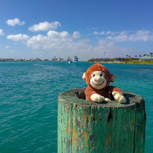 Yonkey Monkey Popular 10-inch Cute Soft Plush Monkey, Travel Buddy, Blogger, Friend