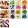 XICHEN 120 PCS/ 2Boxes Five Flower Flower Three-Dimensional Applique 3D Nail Stickers Nail Supplies Dried Flowers（Starry and Five Flower）