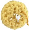 Michelle's Melting Pot Exfoliating Foam Sea Sponge, Natural Feel, Shower Loofah, Bath Sponge, Rich Lather (Set of 3)