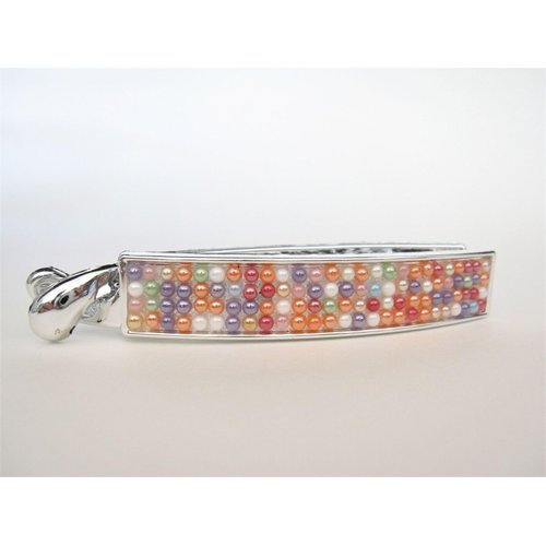 Generic Silver acrylic multi-color beads banana hair claw clip