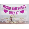 Young and Sweet Only 17 Banner, Girls 17th Birthday Decorations, 17th Birthday Decorations for Girls, Seventeen Year Old Party Supplies Rose Red