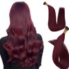 MioYio I Tip Hair Extensions Human Hair 50G/Pack Virgin Hair Itip Human Hair Extensions #99J Wine Red Pre Bonded I Tip Real Hair Extensions Long Straight Burgundy 22Inch