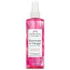 HERITAGE STORE Rosewater & Vinegar - Exfoliating Toner with Apple Cider Vinegar - Oily to Combination Skin - Refreshing Facial Mist Cleans, Refines Pores and Clarifies Skin Hypoallergenic, Vegan, 8oz