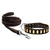 Dean and Tyler Bundle - One "Plated Perfection" Collar 32" by 1-1/2" With One Matching "No Assumptions" Leash, 6 FT Stainless Snap Hook - Brown