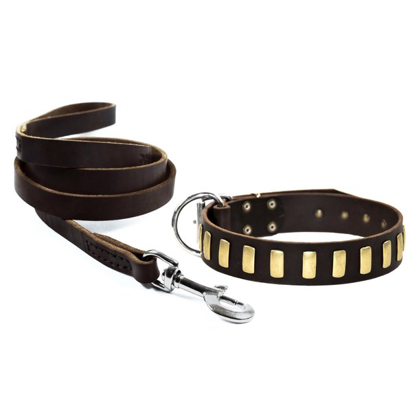 Dean and Tyler Bundle - One "Plated Perfection" Collar 32" by 1-1/2" With One Matching "No Assumptions" Leash, 6 FT Stainless Snap Hook - Brown