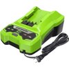 Greenworks 24V Battery Charger (Genuine Greenworks Charger)