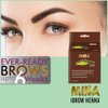 Mina ibrow Hair Color|Long Lasting Natural Spot coloring and Hair Tinting Powder, Water and Smudge Proof | No Ammonia, No Lead with 100% Gray Coverage |Vegan and Cruelty free| Pack of 5