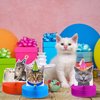 9 Pcs Cat Themed Honeycomb Centerpieces Cats Party Decorations Cat Happy Birthday Party Supplies Cat Party Cake for Kids Baby Shower Birthday Supplies