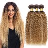 20 22 24 Inch T4/27 Bundles Human Hair Ombre Kinky Curly Bundles Honey Blonde Human Hair Bundles 2 Tone Brown and Honey Blonde Bundles Brazilian Grade 8A Virgin Human Hair Extensions