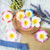 24 Pack Hawaiian Flower Hair Clips, 2.5 Inch Plumeria Foam Hair Accessories Clip for Women, Hawaii Tropical Party Decorations, Beach Pool Vacation Outfit, Luau Party Supplies favors, Bridal Wedding