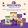 Wellness Rewarding Life Grain-Free Soft Dog Treats, Made in USA with Healthy Ingredients, Ideal for Training (Lamb & Salmon, 6-Ounce Bag)