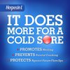 Herpecin L Lip Protectant SPF 30 0.10 oz (Pack of 4)