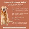 Canine Keeps Dog Allergy Chews - Itch Relief for Dogs – Omega 3 Salmon Fish Oil, Probiotics & Quercetin - Immune Support & Dog Allergy Relief Chews – Digestion + Skin & Coat Health - 90 Ct.
