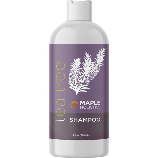 Tea Tree Shampoo for Oily Hair - Paraben and Sulfate Free Clarifying Shampoo for Build Up and Dry Scalp - Purifying Aromatherapy