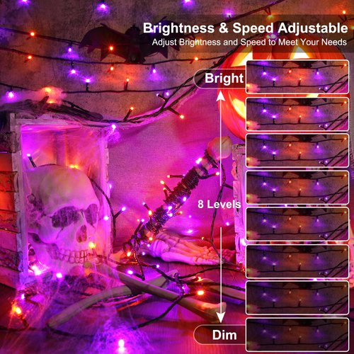 Brizled Color Changing Christmas Lights, 66ft 200 LED RGB String Lights with Remote, Dimmable Outdoor Christmas Lights, Mini Christmas Tree Lights Indoor, Plugin Xmas Lights for Xmas Tree Party Decor