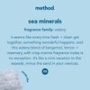 Method Foaming Hand Soap, Sea Minerals, 10 oz, 1 pack, Packaging May Vary