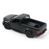 Tianmei 1:32 Scale Pickup Truck Alloy Die-Cast Car Model Collection Decoration Ornaments, Kids Play Vehicle Toys with Pull Back Action and Open Doors (FT 150 - Black)