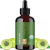 Organic Amla Oil for Hair Growth - 100% Pure Amla Hair Oil for Hair Growth & Hydration - Cold-Pressed Extra Virgin Unrefined Non-GMO & USDA Organic Hair Oil for Dry Hair and Scalp Care (4 Fl Oz)