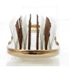 Magical shampoo"Scalp brush" SCALP BRUSH WORLD MODEL/SHORT (made in Japan)