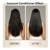 OLAZARAH Coconut Oil Daily Rehydration Leave-in Conditioner, Enriched w/Acasia Senegal, Sweet Almond Oil - Sulfate Free, Vegan, (Lot of 2)