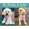 SuperBuddy Upgraded Soft Mesh Dog Harness, Super Breathable Lightweight Pet Harnesses for Puppy Dogs Outdoor Walking, Pink Dog Harness -Small