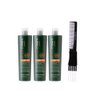 kuss Inebrya Ice Cream Green Post-Treatment Shampoo (10.14 oz) with Teasing Comb Pack of 3