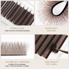 NATUHANA W Shaped Clover Eyelash Extension 5D Premade Fans 0.07mm L Curl 8-14 Mixed Tray Volume Lash Cluster W Lashes Supplies Lash Extensions (5D brown;0.07 L, 8-14 MIX)