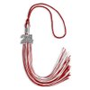 Endea Graduation Mixed Double Color Tassel with Silver Bling Charm (Red/White, 2024)