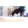 Chuckit! Indoor Super Slider Dog Self Fetch Squeaker Toy -Glides Harmlessly On Most Indoor Surfaces