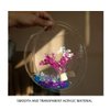 Creative Acrylic Hanging Wall Mounted Fish Tank, Hanging Bowl for Water Plants, Wall Fish Bubble Tank, Hydroponic Air Plant Flower Pot, Mini Aquarium Planter, Home Decor, Fake Plants Nail Stone Etc