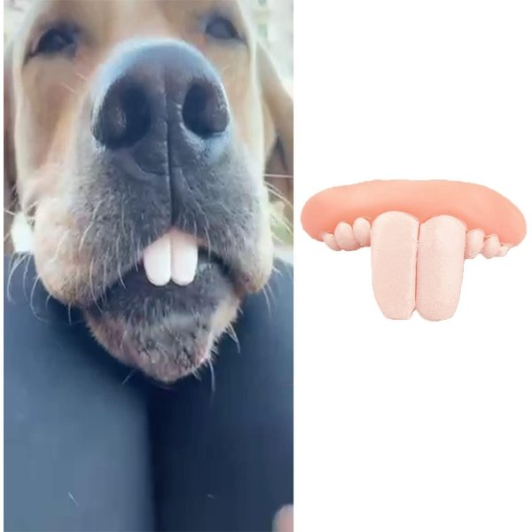 DPWOUM 1Pc White Fake Teeth Fake Teeth for Dogs,Dog Toys,Funny Dog Teeth Braces, Dog Christmas Costume Suitable Dog Chew Toys Pet Supplies