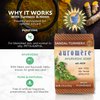 Auromere Ayurvedic Bar Soap, Sandal Turmeric - Eco Friendly, Handmade, Vegan, Cruelty Free, Natural, Non GMO (2.75 oz), 3 pack