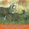 Nationwide Scents Cherry Grunt Call for Deer Hunting - Buck Calls for Whitetail Deer - Wooden Deer Call - Must Have Deer Hunting Accessories for Men