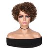 Hanne Fashion Short Curly Human Hair Wig for Black Women Brown Curly Bob Wigs Side Part Pixie Cut Wig Brazilian Remy Human Hair Non Lace Glueless Wigs (F4/30)
