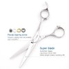 Hair Scissors Professional 5.5 Inch Hair Cutting Scissors Hair Shears Haircut Scissors Barber Shears 440c Barber Scissors Hairdresser Scissors KINSARO