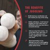 Zeekio Juggling Balls Josh Horton Pro Series - [Set of 3] 12-Panel, Synthetic Leather with Millet Filled, with Plastic Beans, (White)