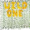 16 inch Happy Birthday Balloons, Birthday Banner, Birthday Decorations, and 12 Pieces Artificial Ivy Garland (Wild One)
