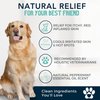 4Legger Organic Dog Shampoo, Cooling Peppermint Tea Tree Dog Shampoo for Skin Conditions and Hot Spot - 16 oz